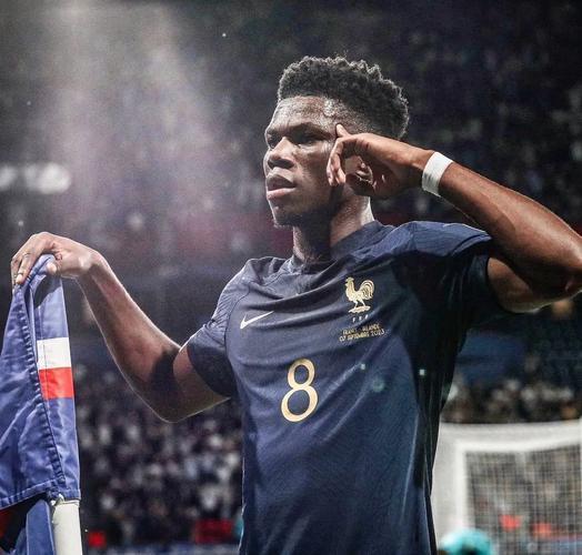 法国队主力中场大获个人荣誉 法国队主力中场大获个人荣誉