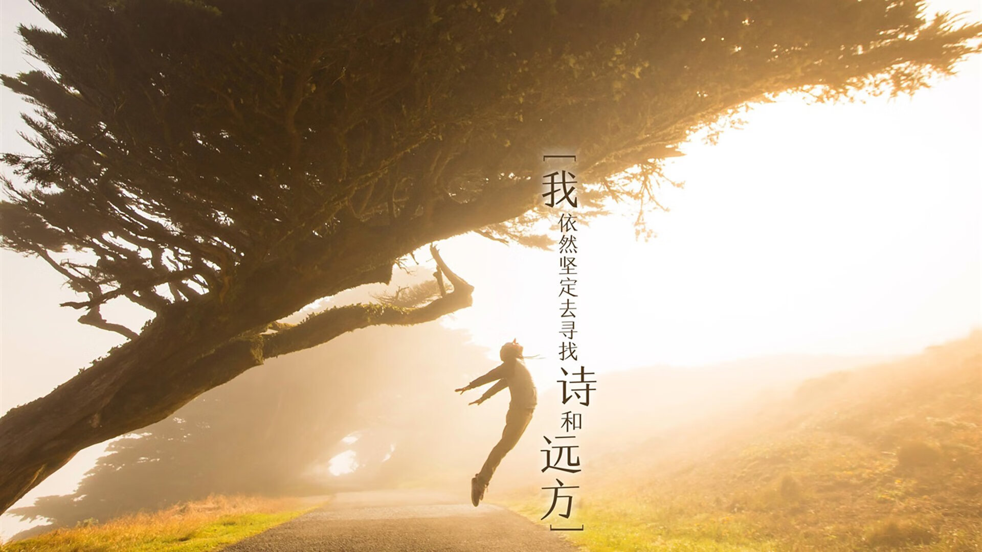 浙江队关键战突围步行者，詹姆斯全程高能输出